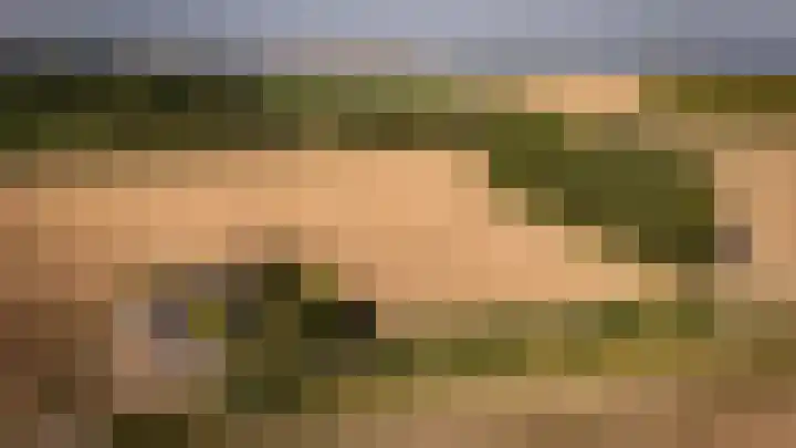 Platteweg 11 Breskens thumbnail 71