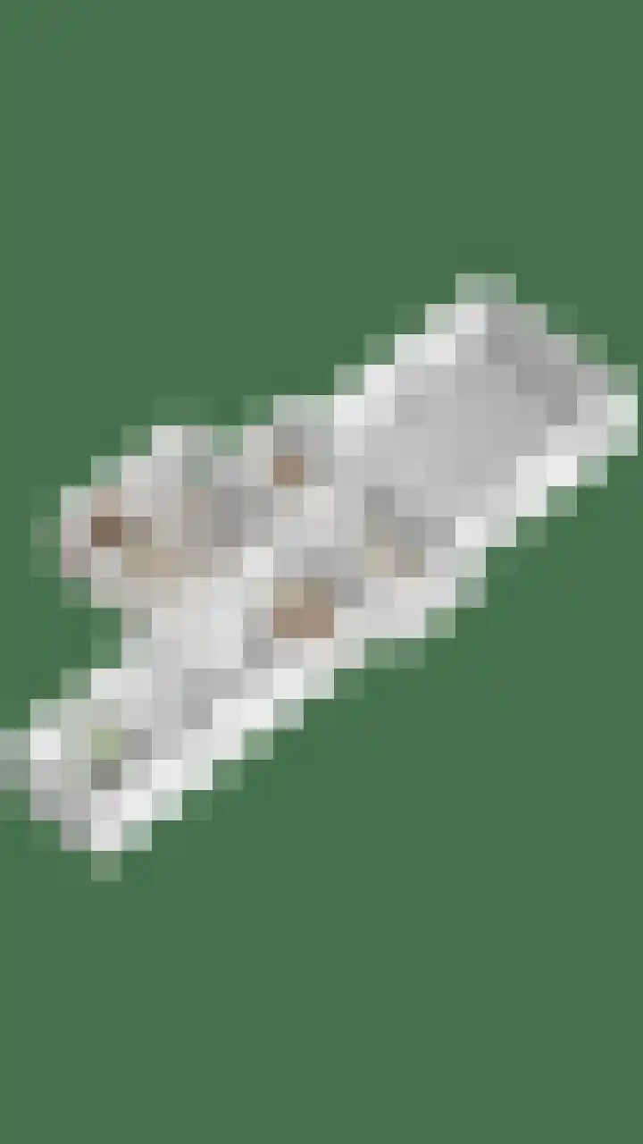Platteweg 11 Breskens thumbnail 78