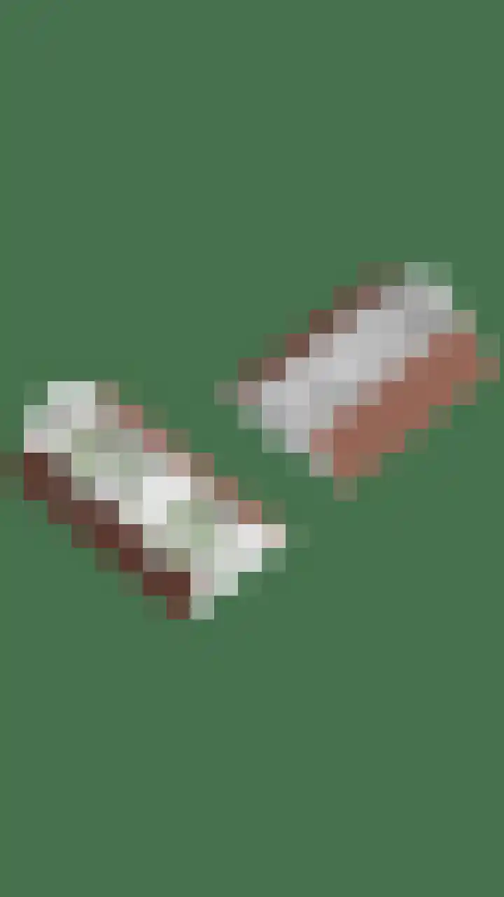 Platteweg 11 Breskens thumbnail 79
