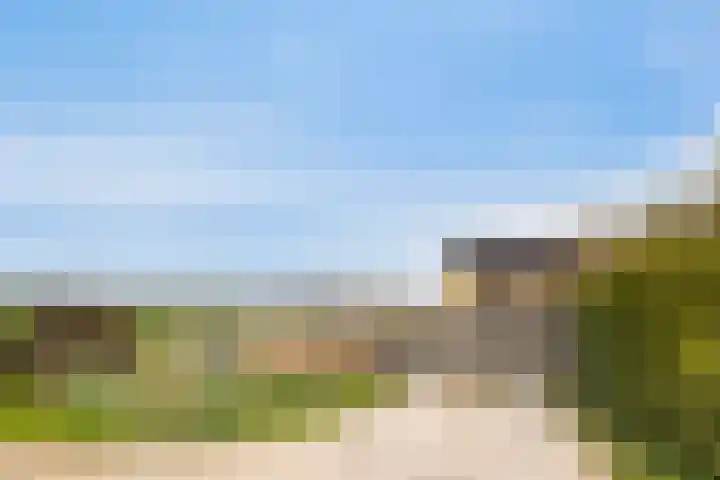 Platteweg 11 Breskens thumbnail 8