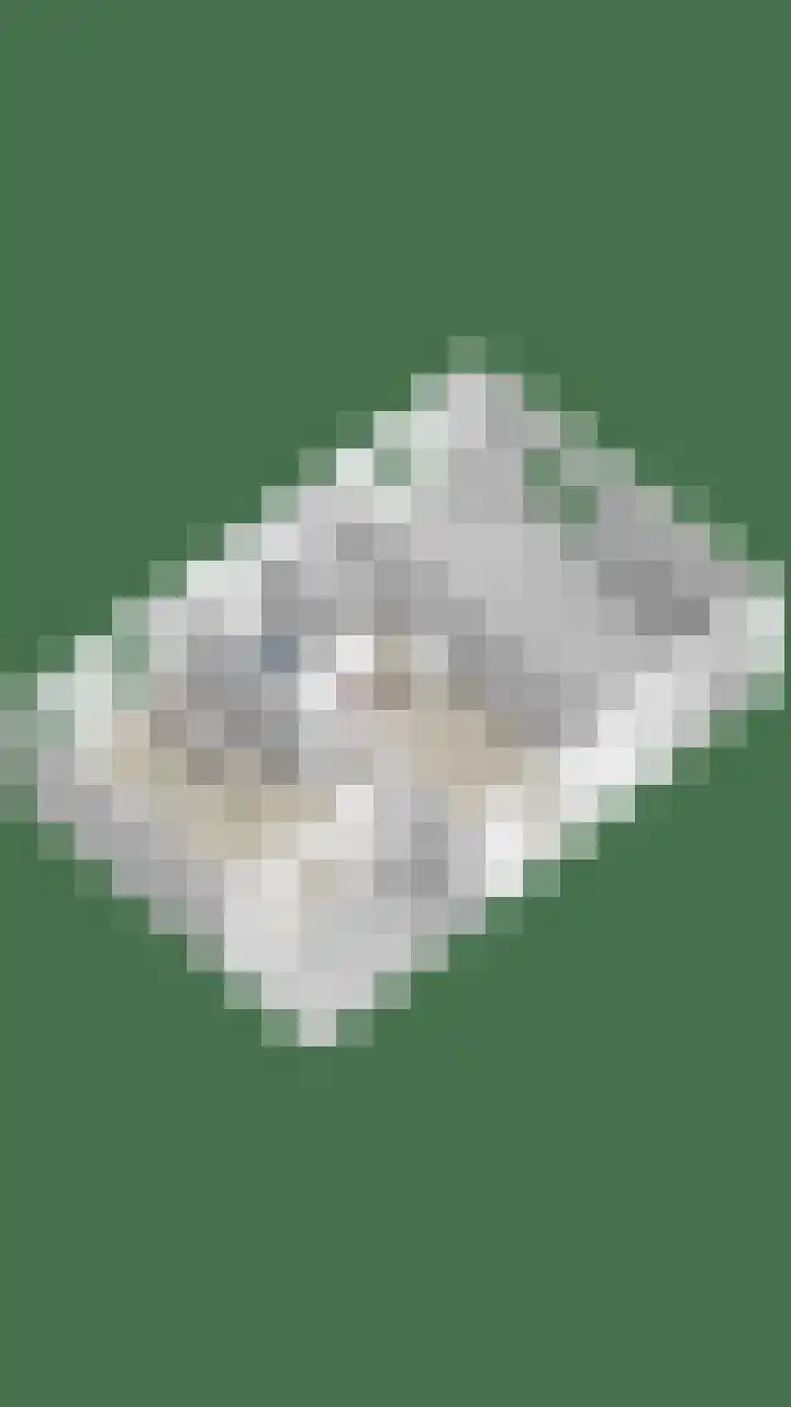 Platteweg 11 Breskens thumbnail 80