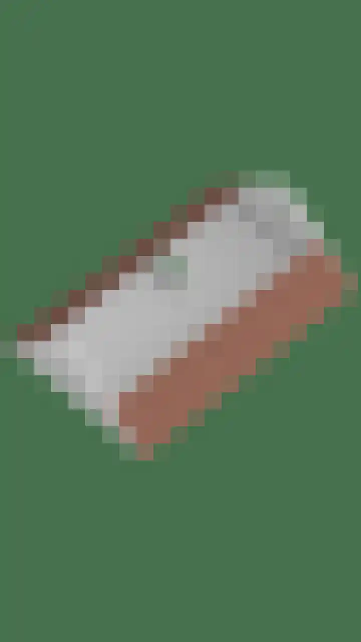 Platteweg 11 Breskens thumbnail 81
