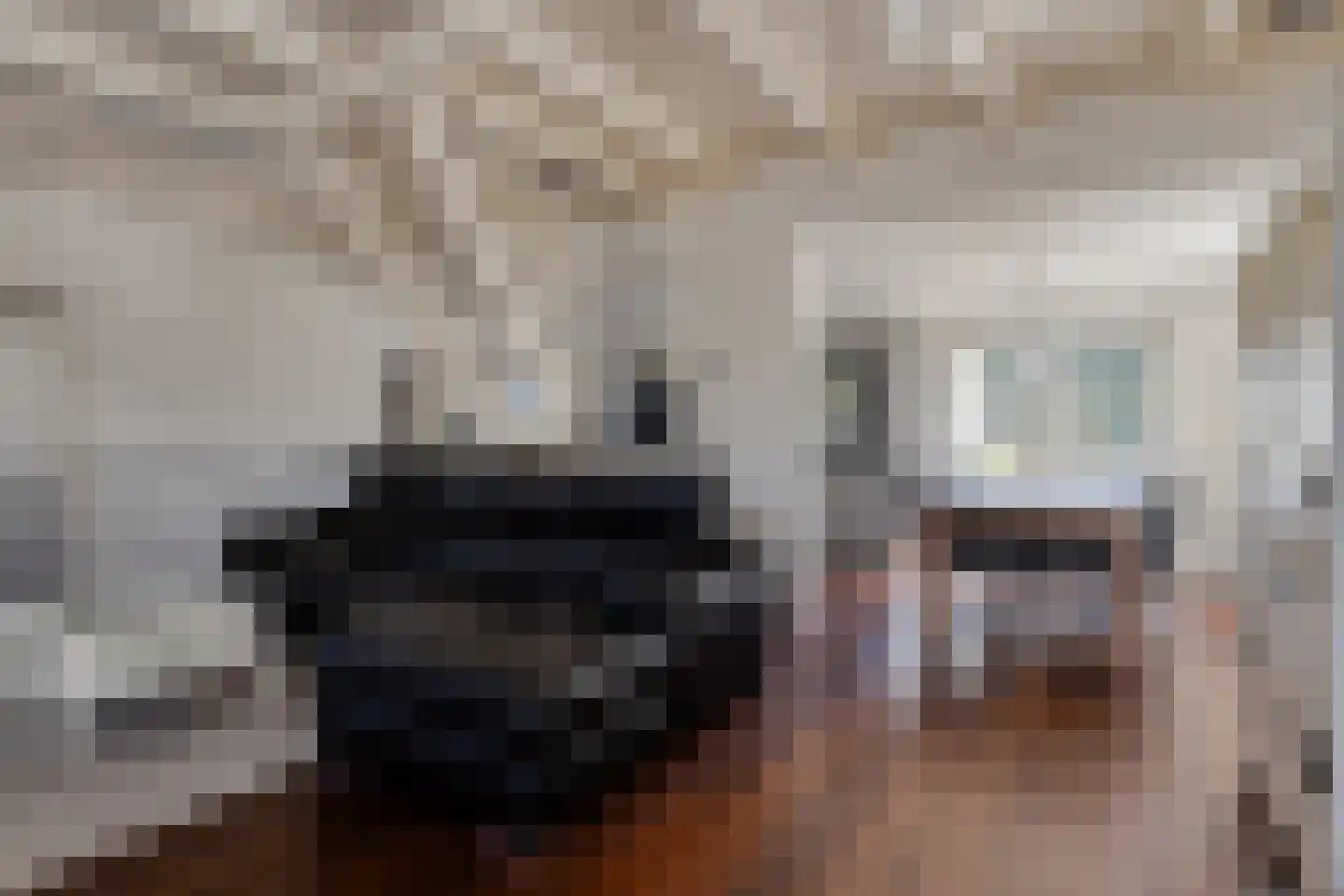 Platteweg 13 Scharendijke thumbnail 11