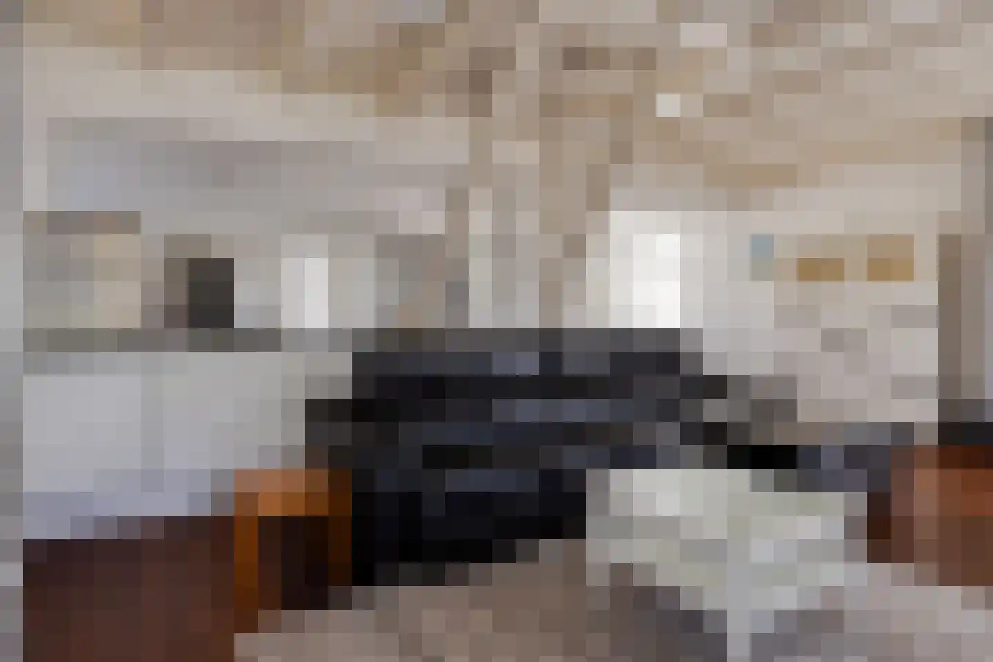 Platteweg 13 Scharendijke thumbnail 13
