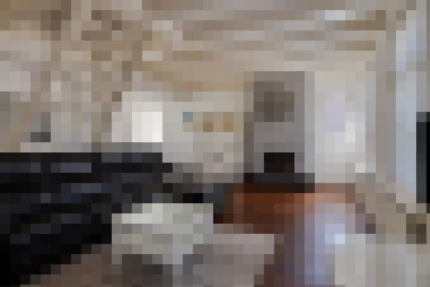 Platteweg 13 Scharendijke thumbnail 14