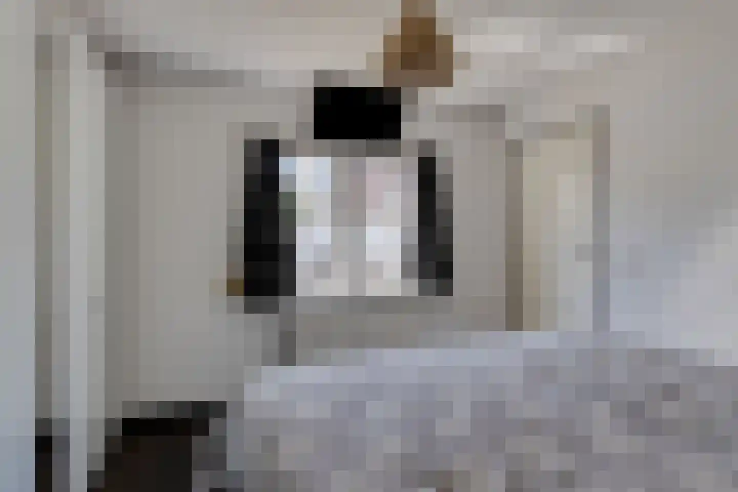 Platteweg 13 Scharendijke thumbnail 20