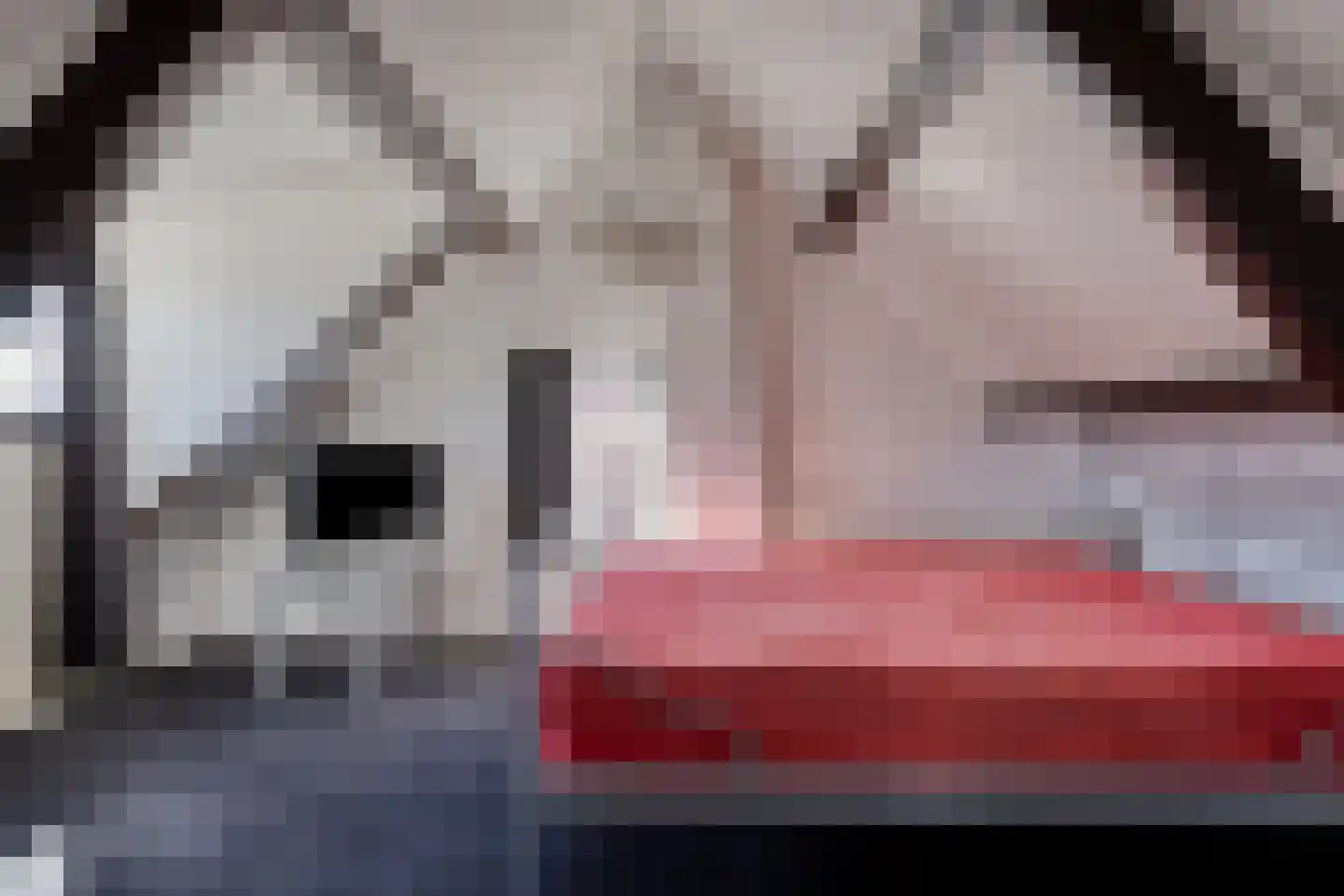 Platteweg 13 Scharendijke thumbnail 21