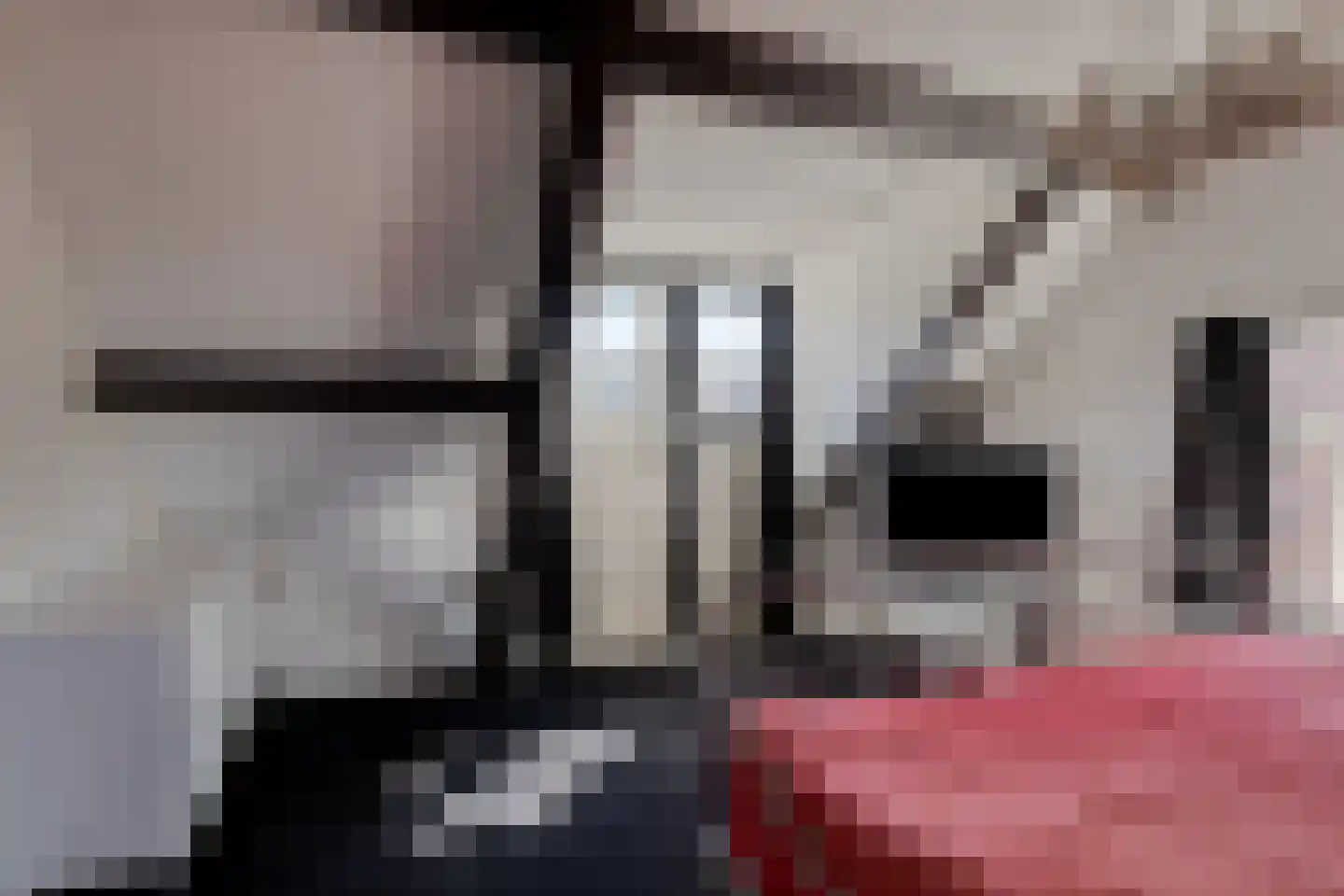 Platteweg 13 Scharendijke thumbnail 22