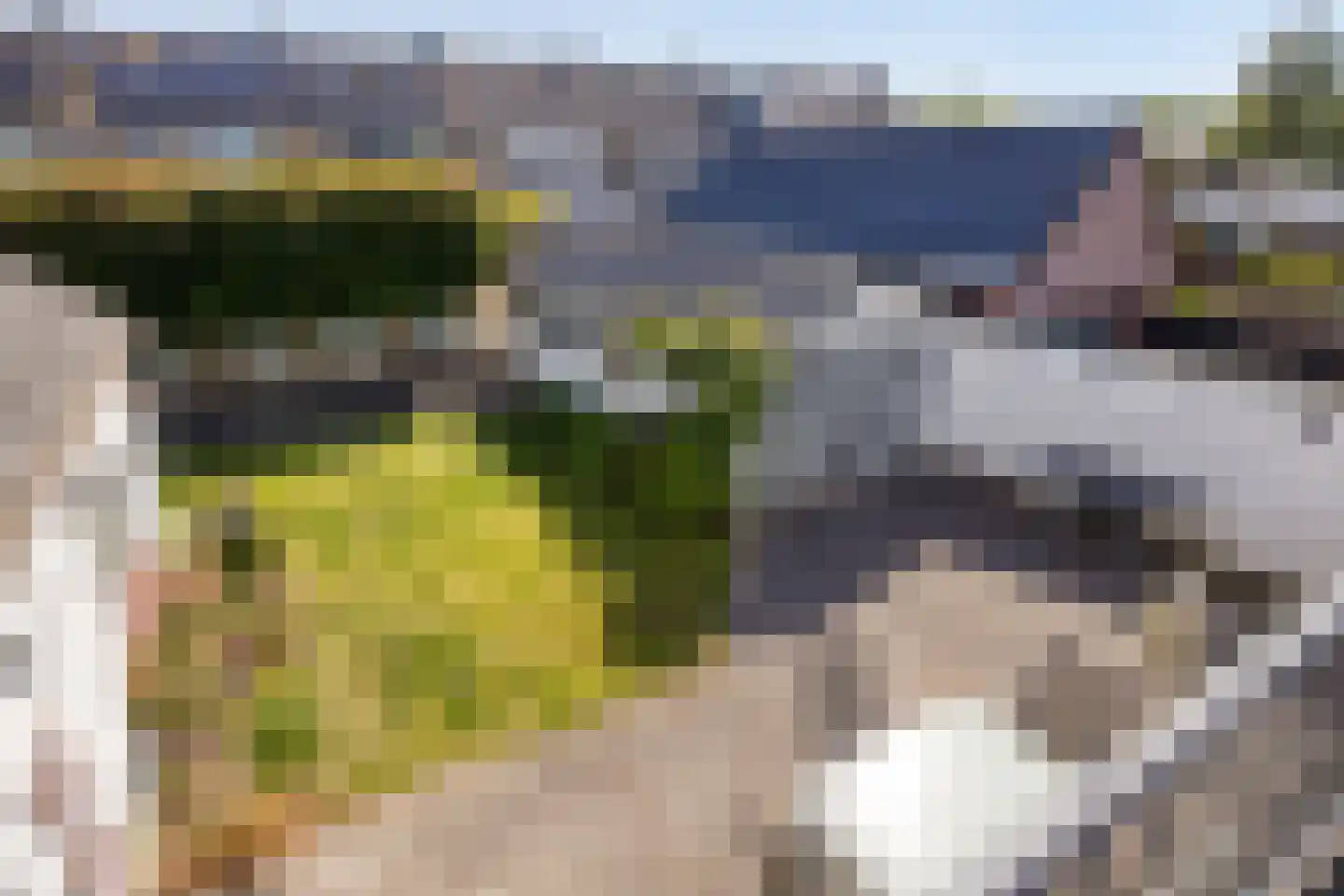 Platteweg 13 Scharendijke thumbnail 24