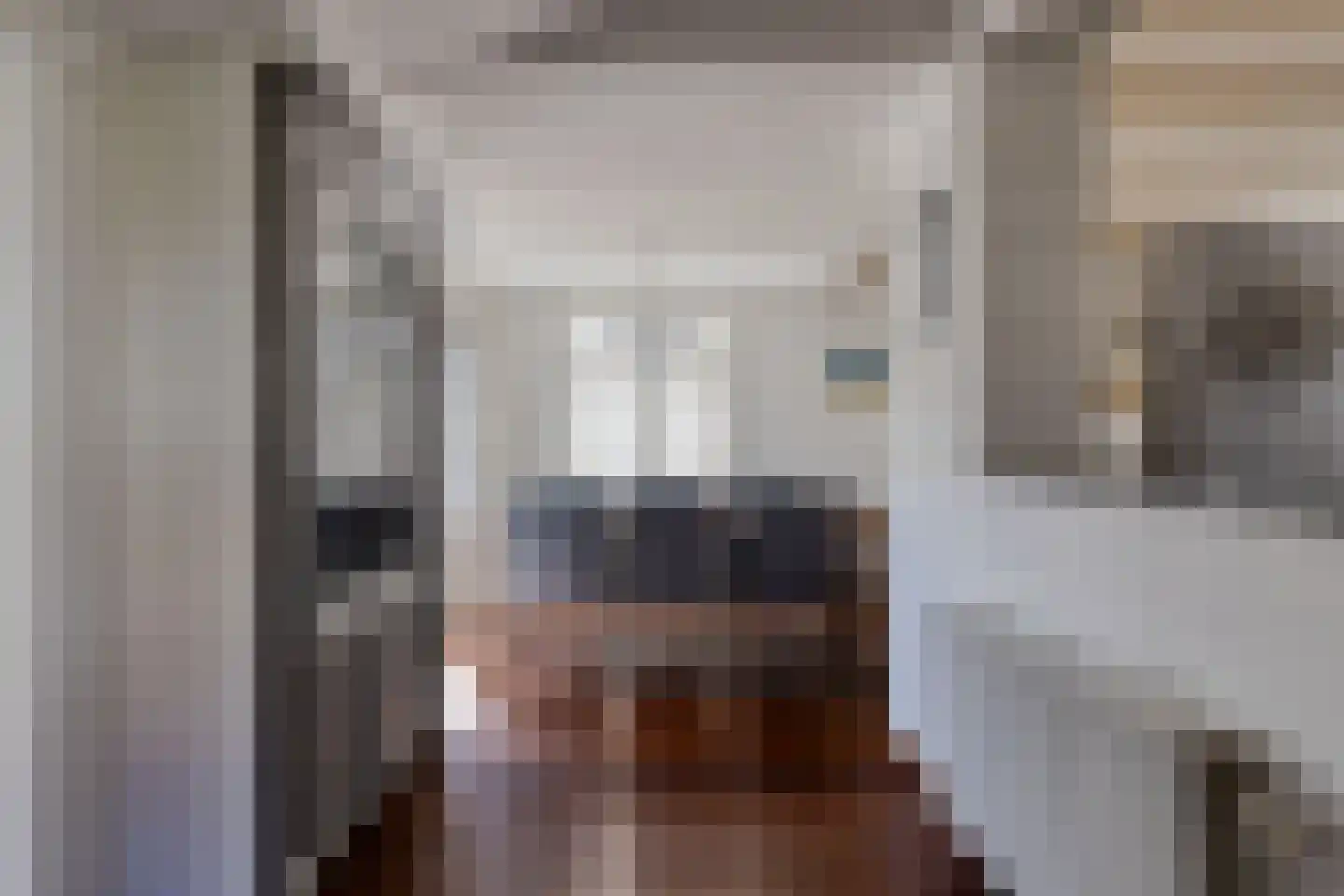 Platteweg 13 Scharendijke thumbnail 4
