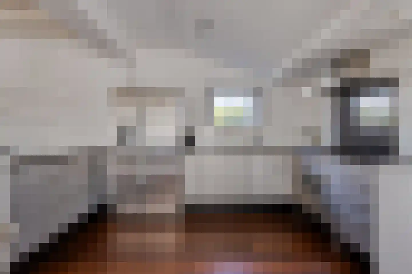 Platteweg 13 Scharendijke thumbnail 6