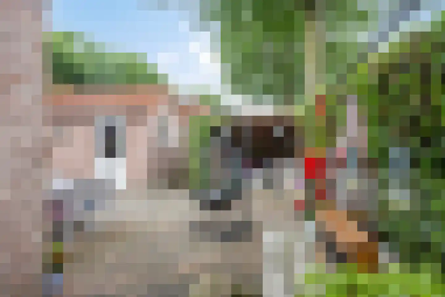 Platteweg 21 Oldemarkt thumbnail 36