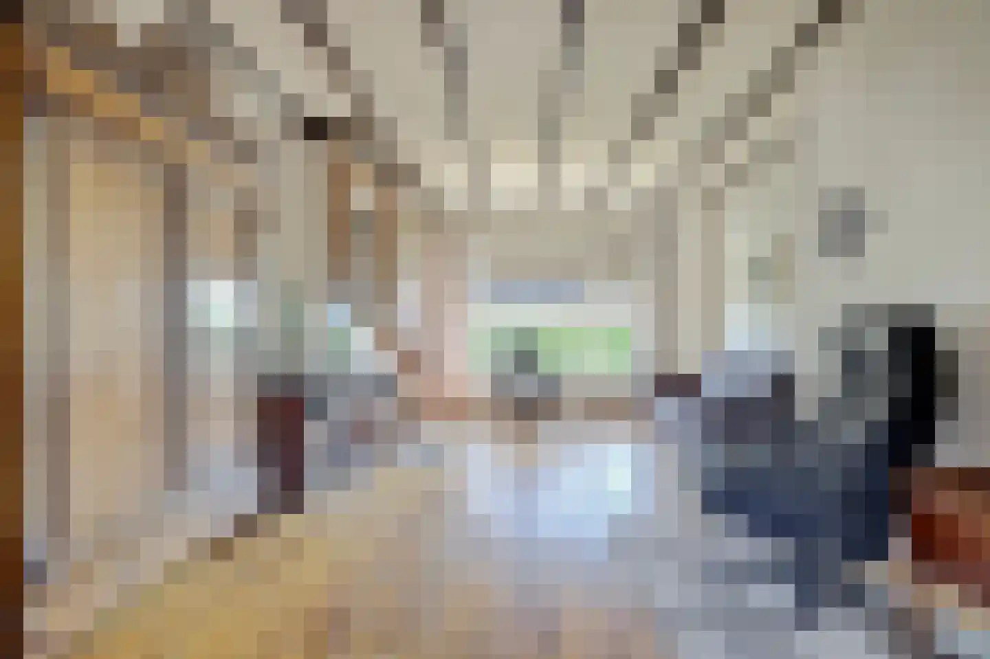 Platteweg 26 Scharendijke thumbnail 12