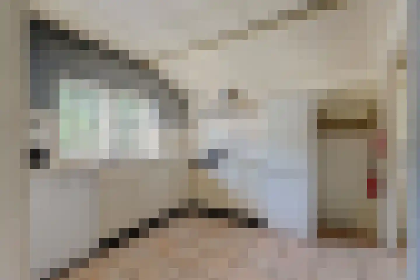 Platteweg 26 Scharendijke thumbnail 17