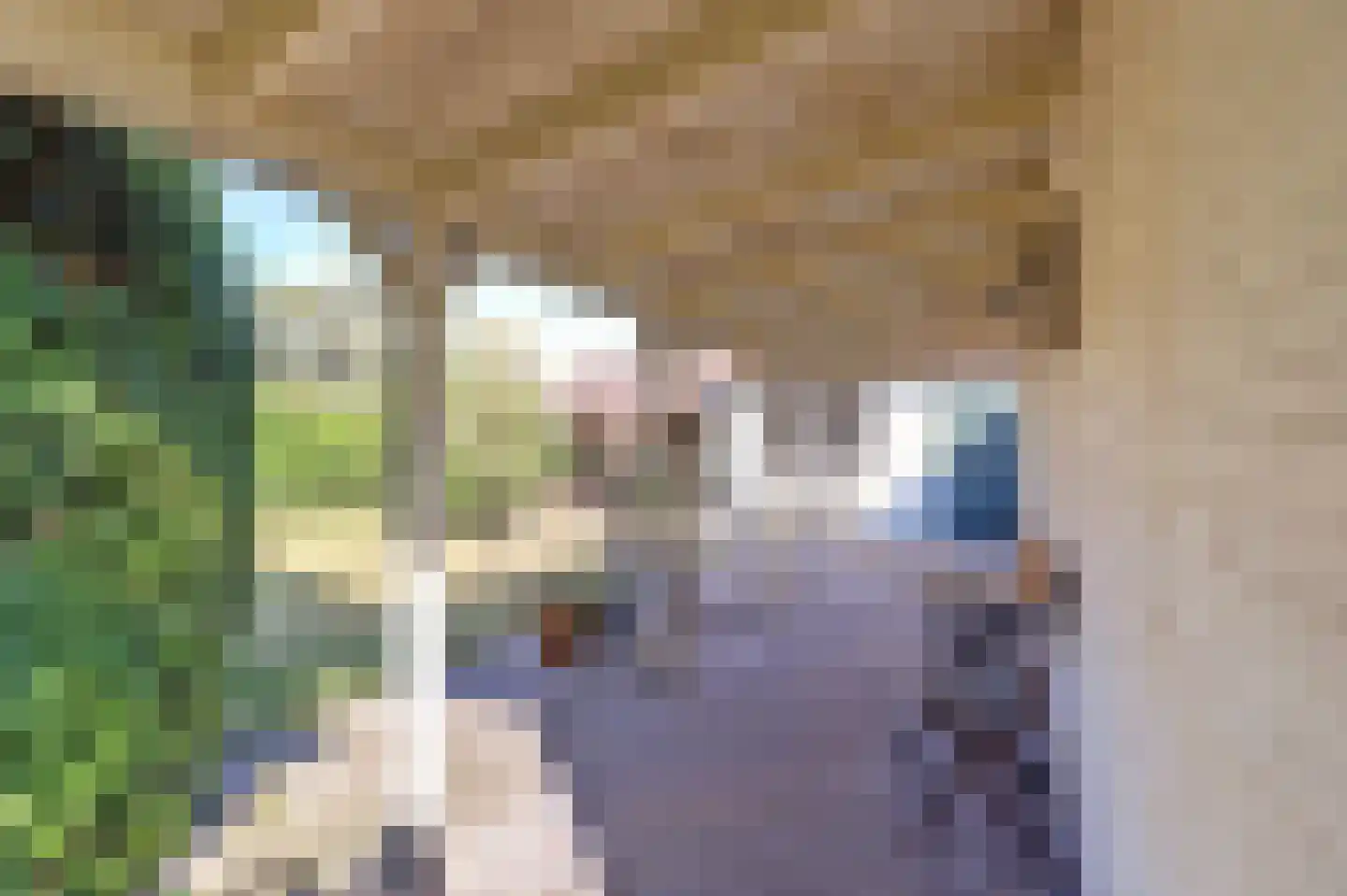 Platteweg 26 Scharendijke thumbnail 30