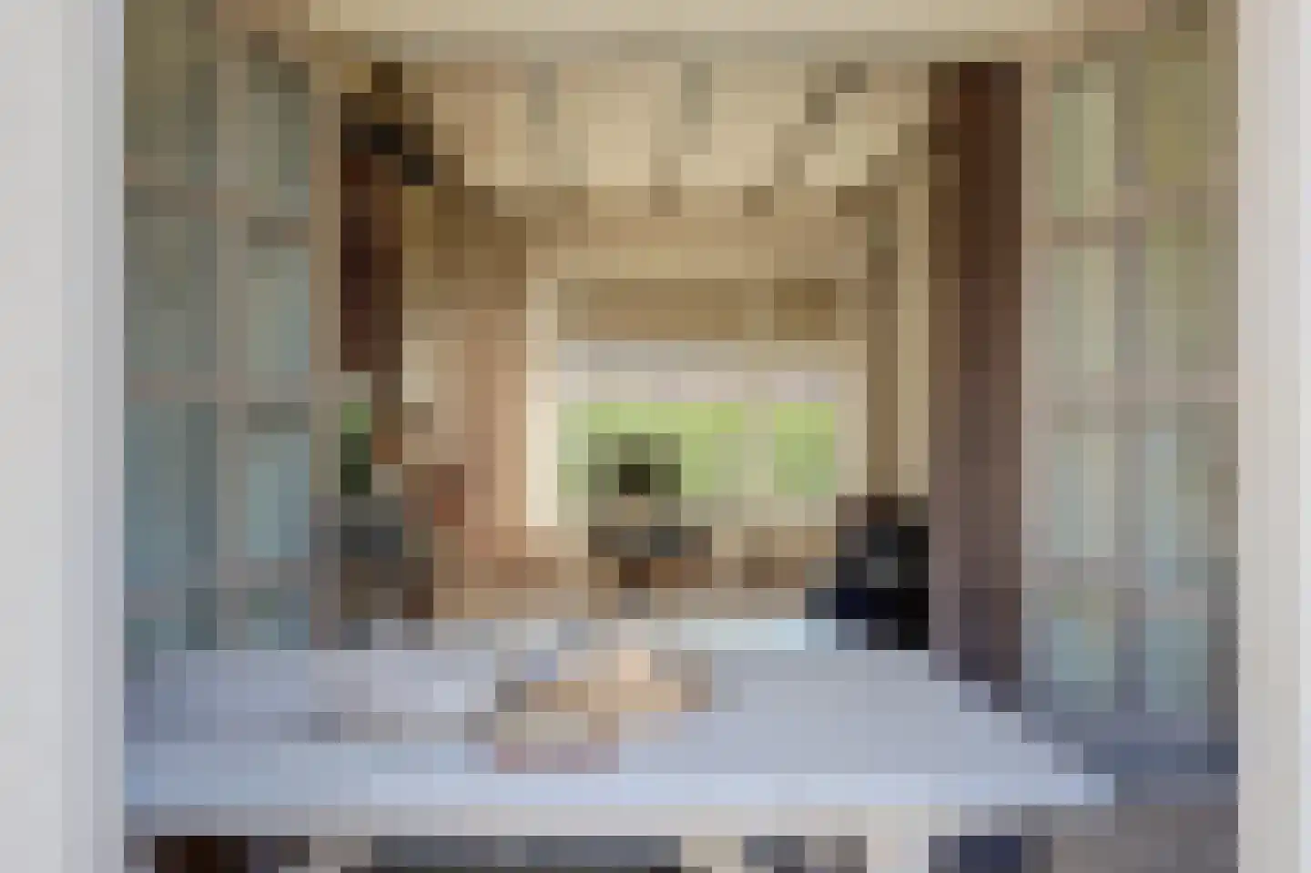 Platteweg 26 Scharendijke thumbnail 6