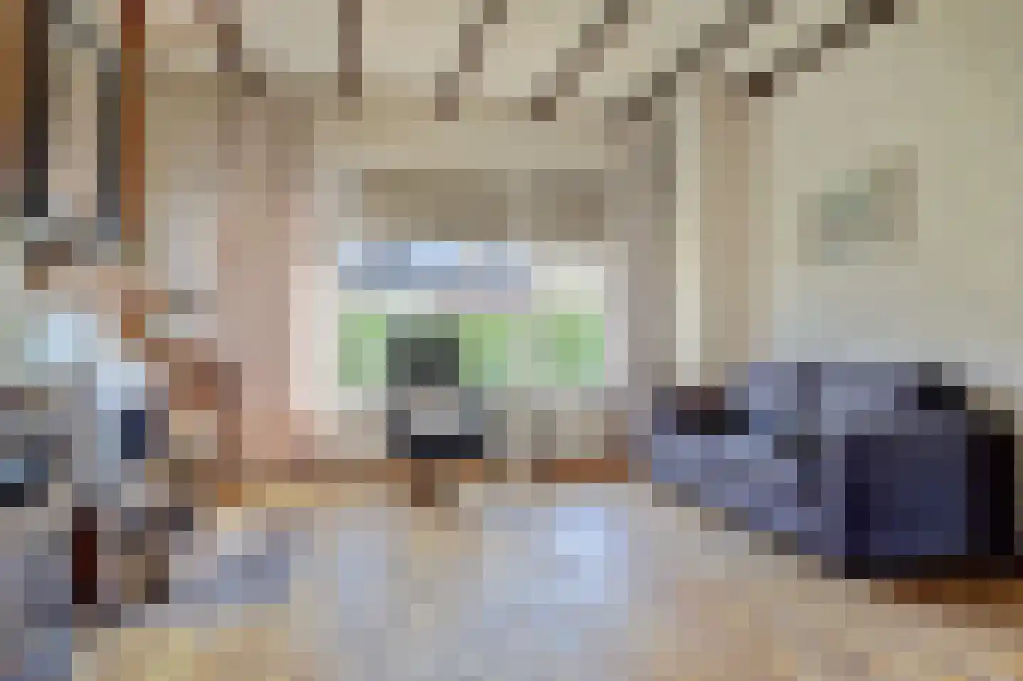 Platteweg 26 Scharendijke thumbnail 8