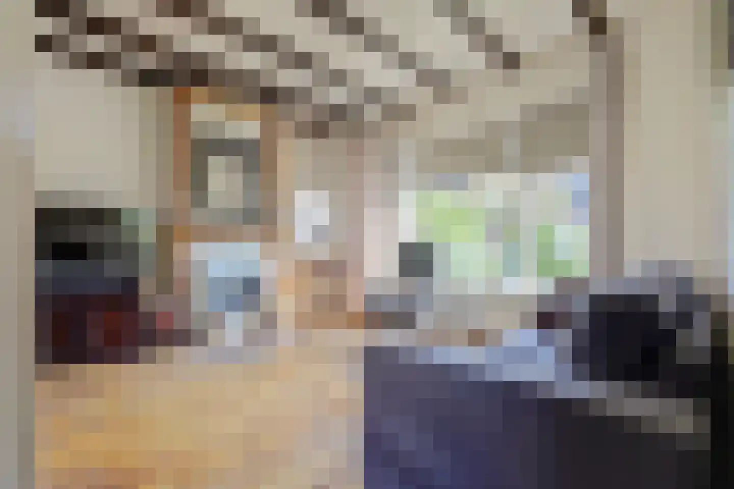 Platteweg 26 Scharendijke thumbnail 9