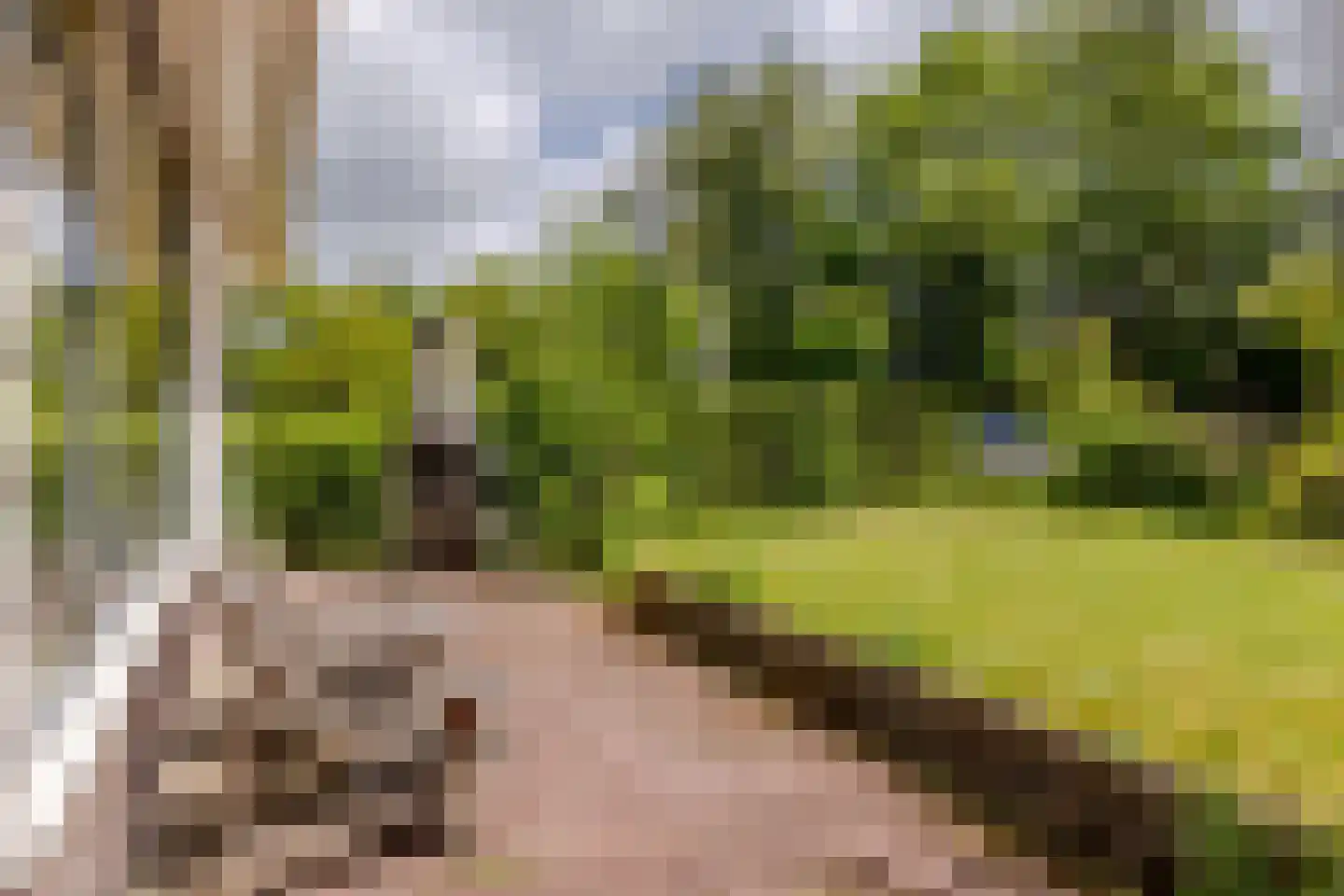 Platteweg 29 4 Reeuwijk thumbnail 28