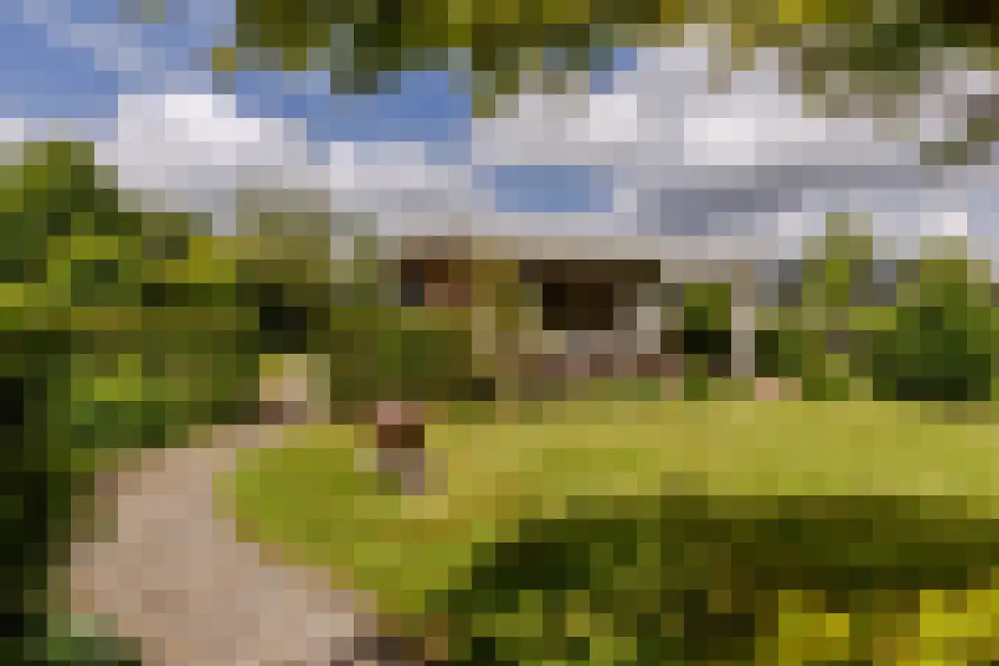 Platteweg 29 4 Reeuwijk thumbnail 30