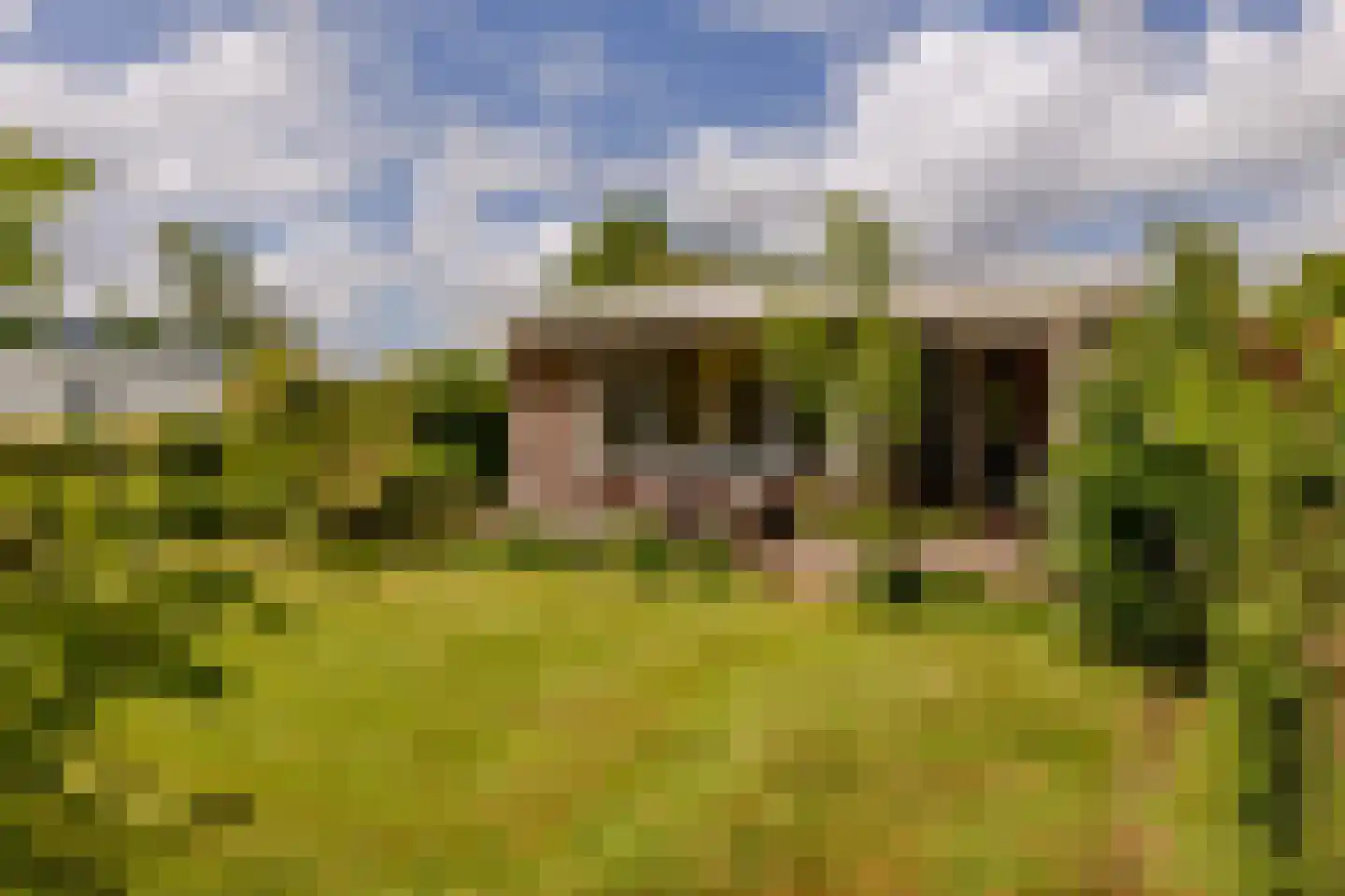 Platteweg 29 4 Reeuwijk thumbnail 31