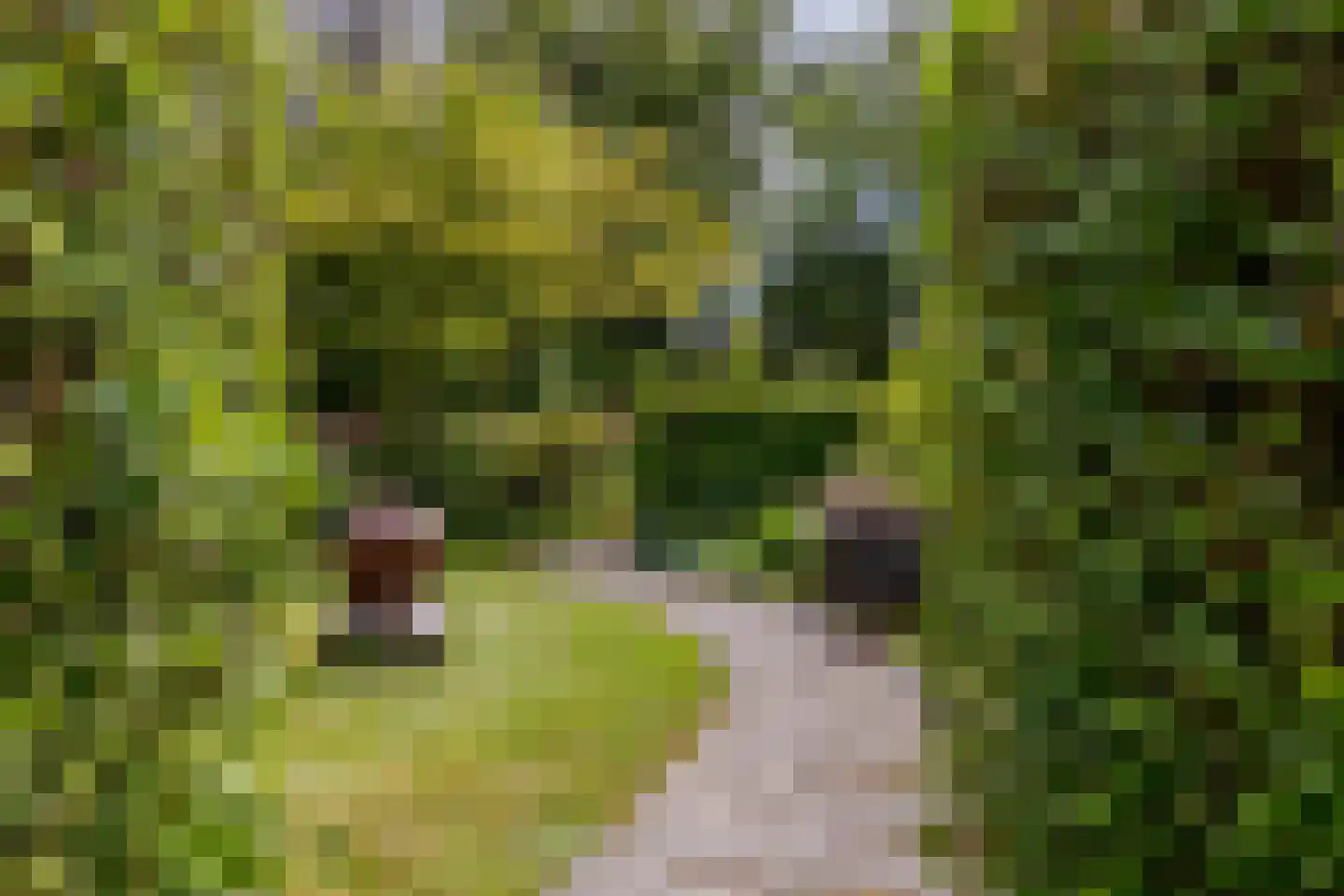 Platteweg 29 4 Reeuwijk thumbnail 32