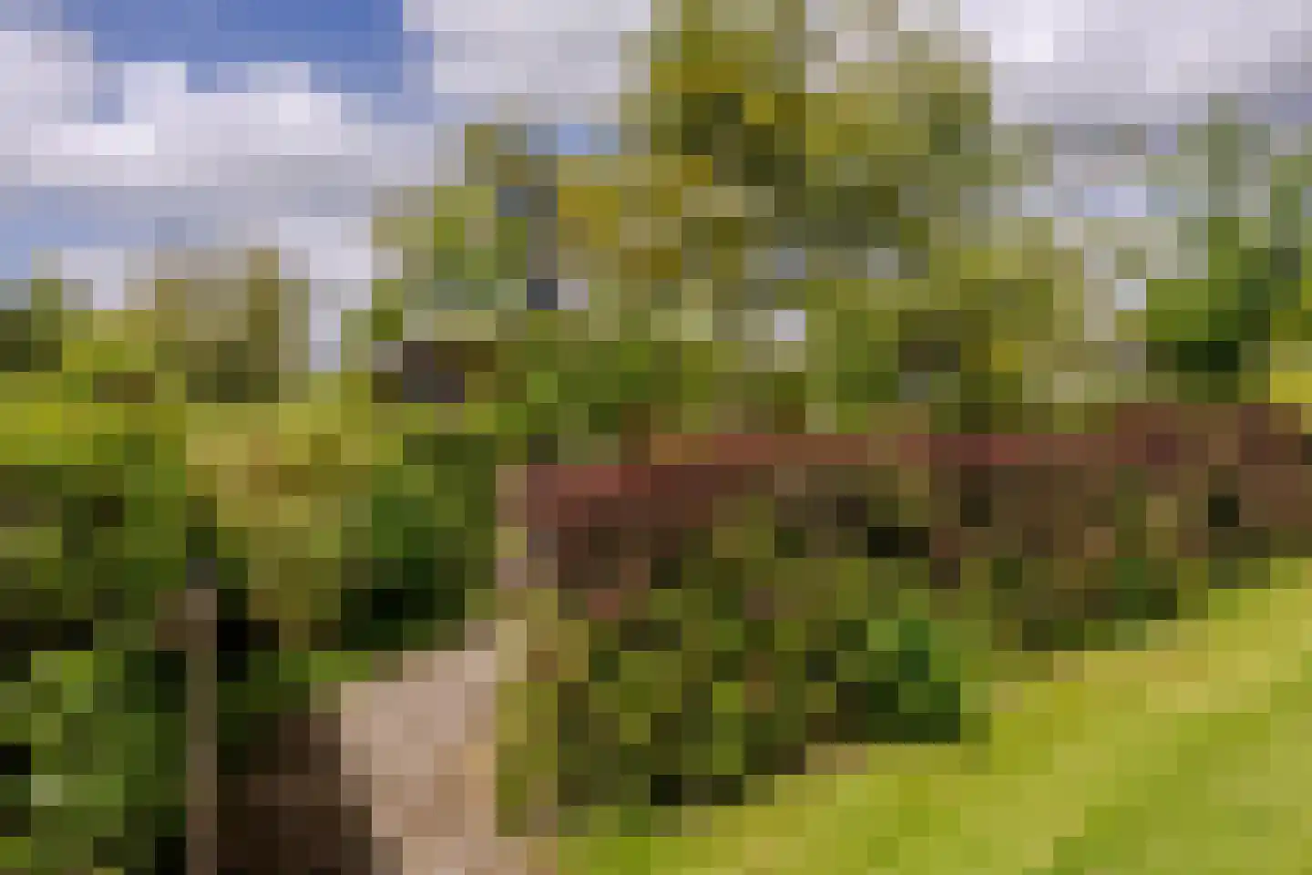Platteweg 29 4 Reeuwijk thumbnail 33