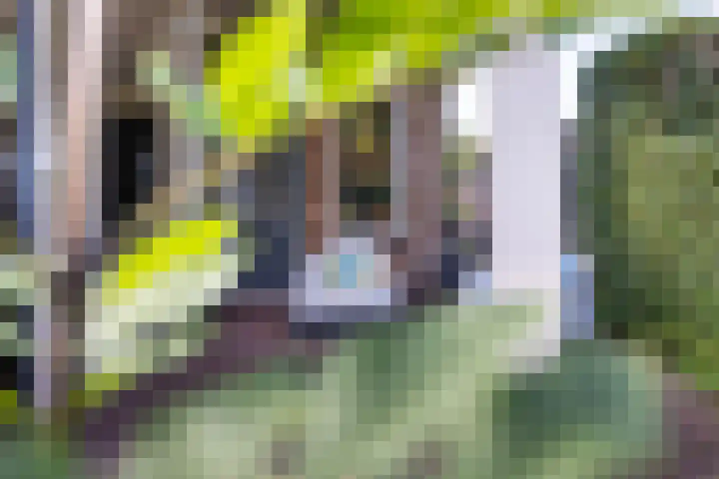 Platteweg 29 4 Reeuwijk thumbnail 35