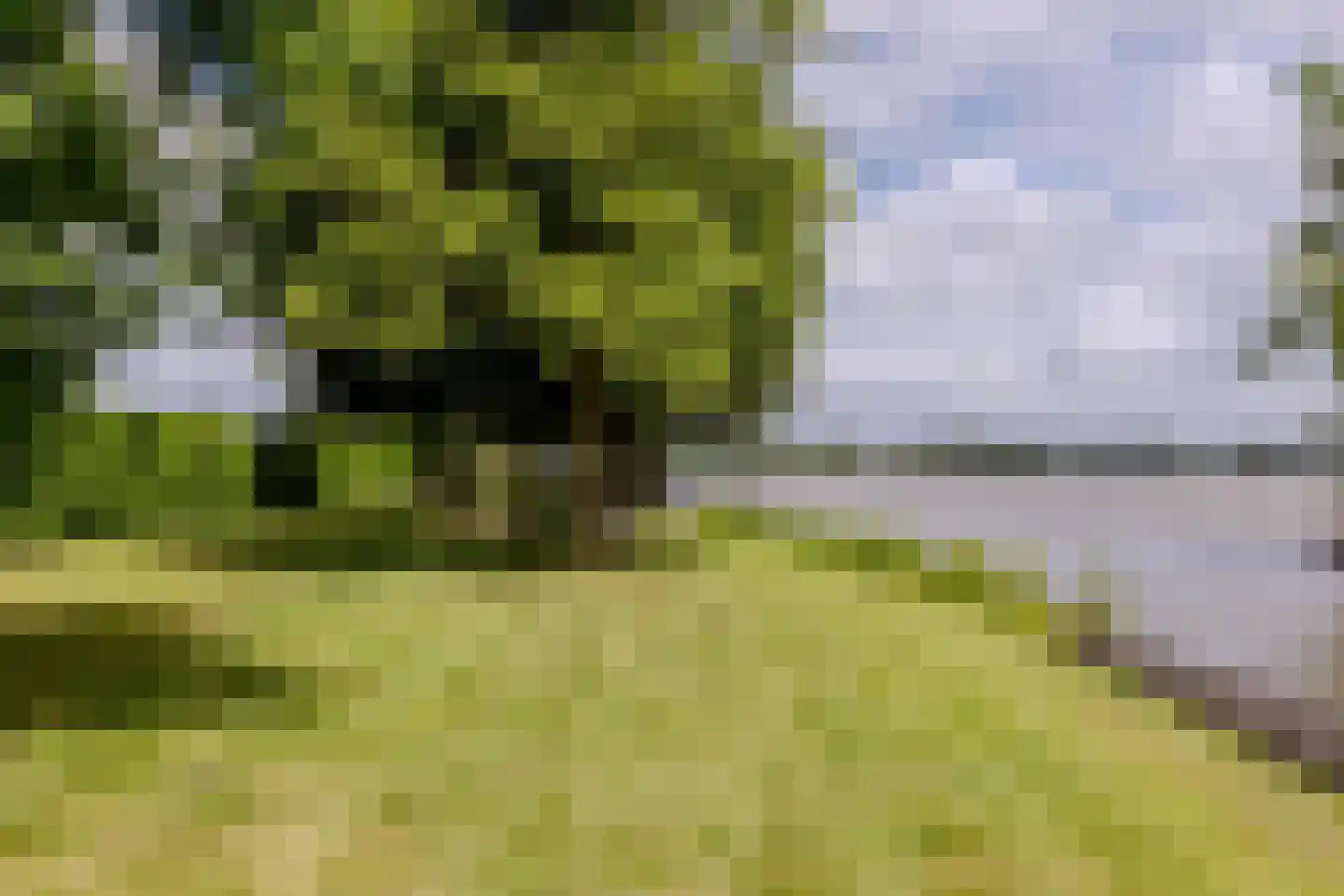 Platteweg 29 4 Reeuwijk thumbnail 36