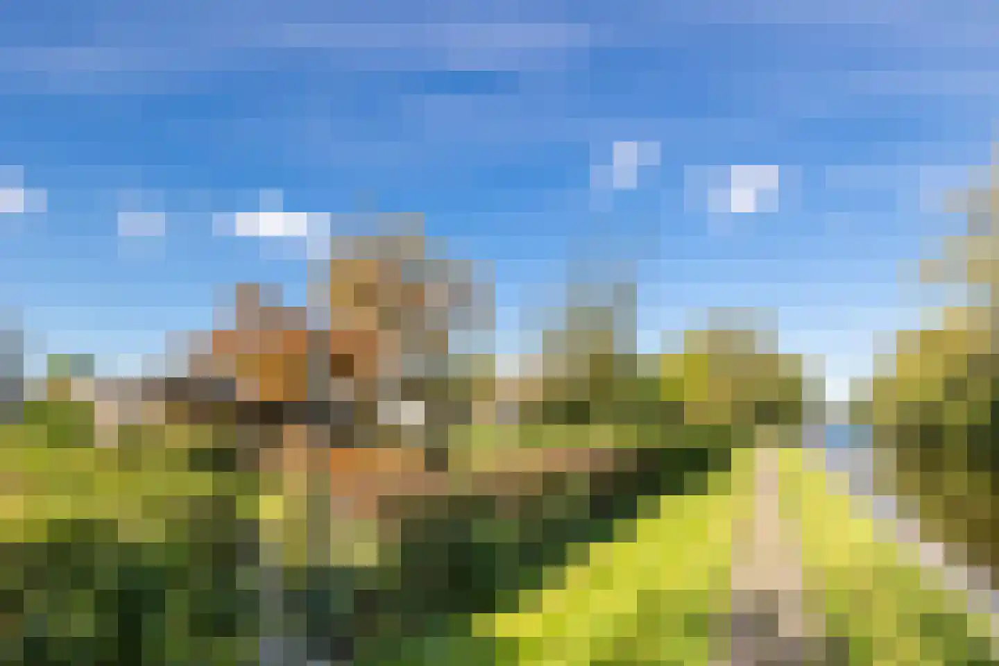 Platteweg 29 4 Reeuwijk thumbnail 37