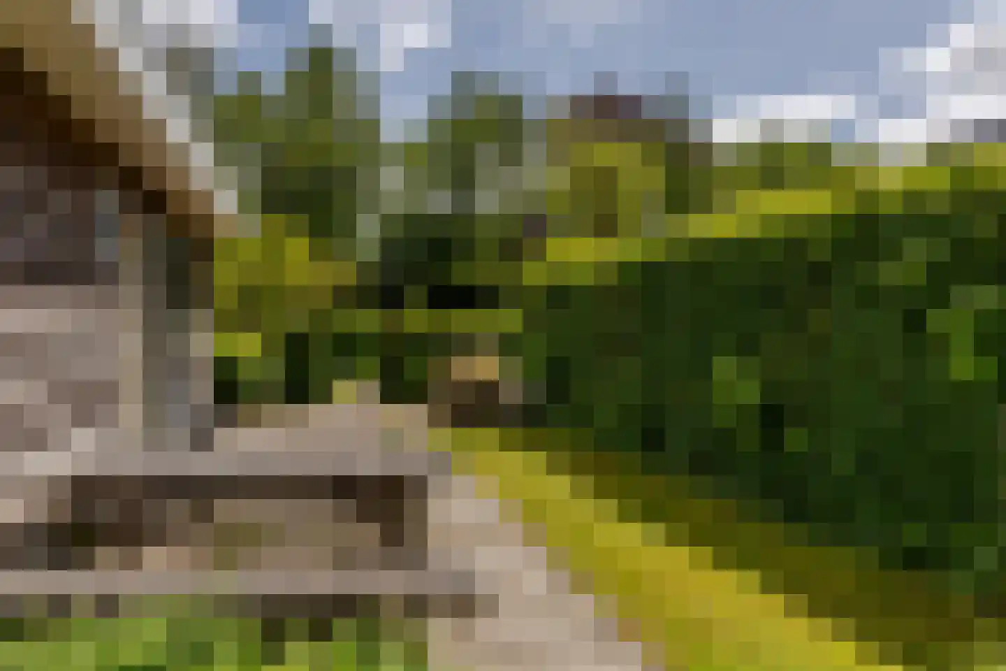 Platteweg 29 4 Reeuwijk thumbnail 4