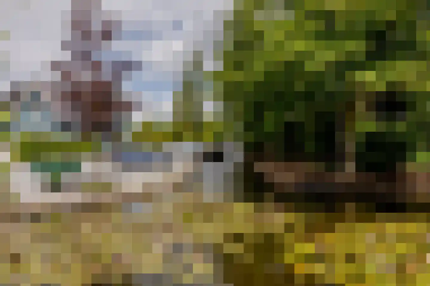 Platteweg 29 4 Reeuwijk thumbnail 40