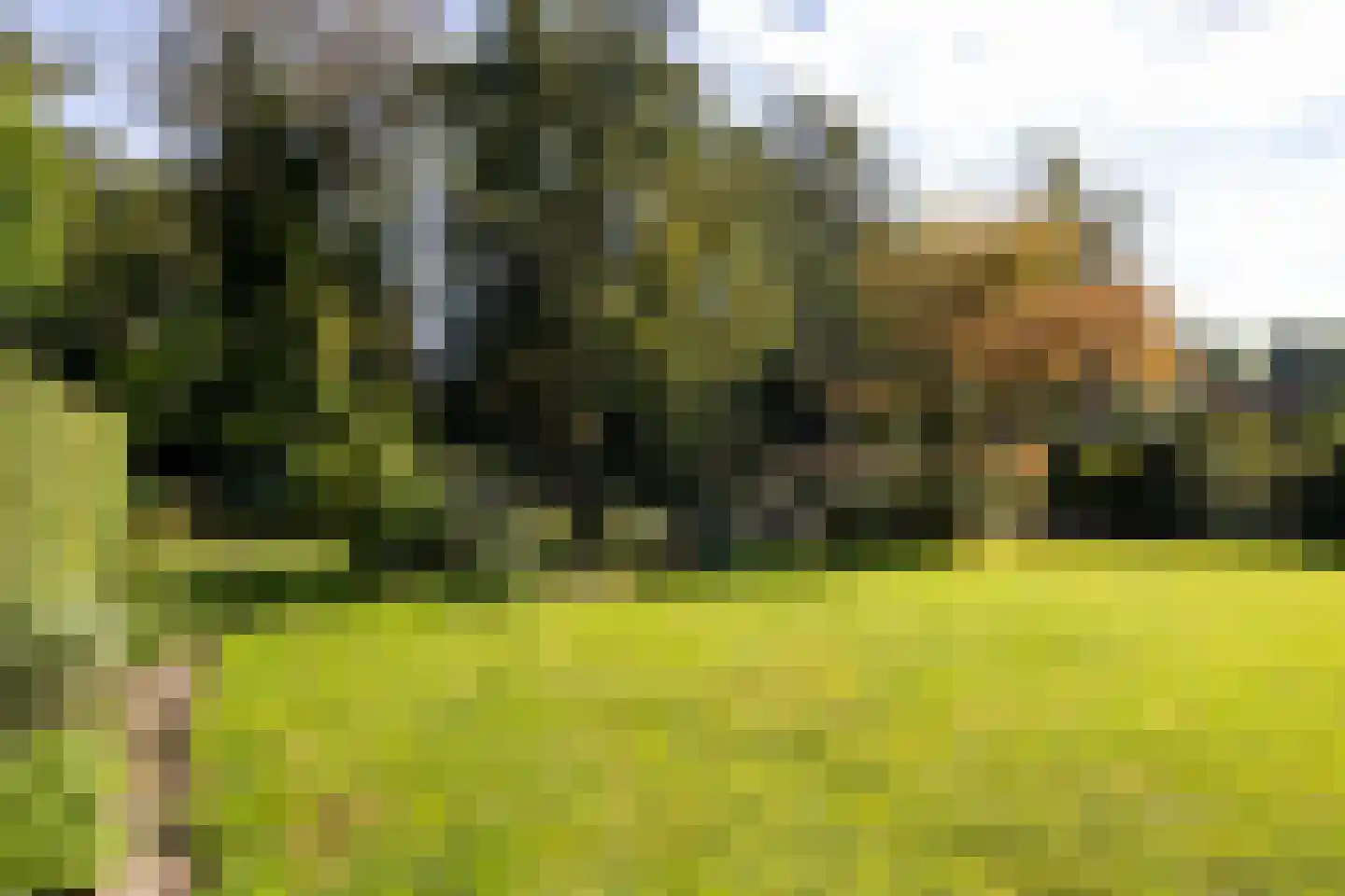 Platteweg 29 4 Reeuwijk thumbnail 41