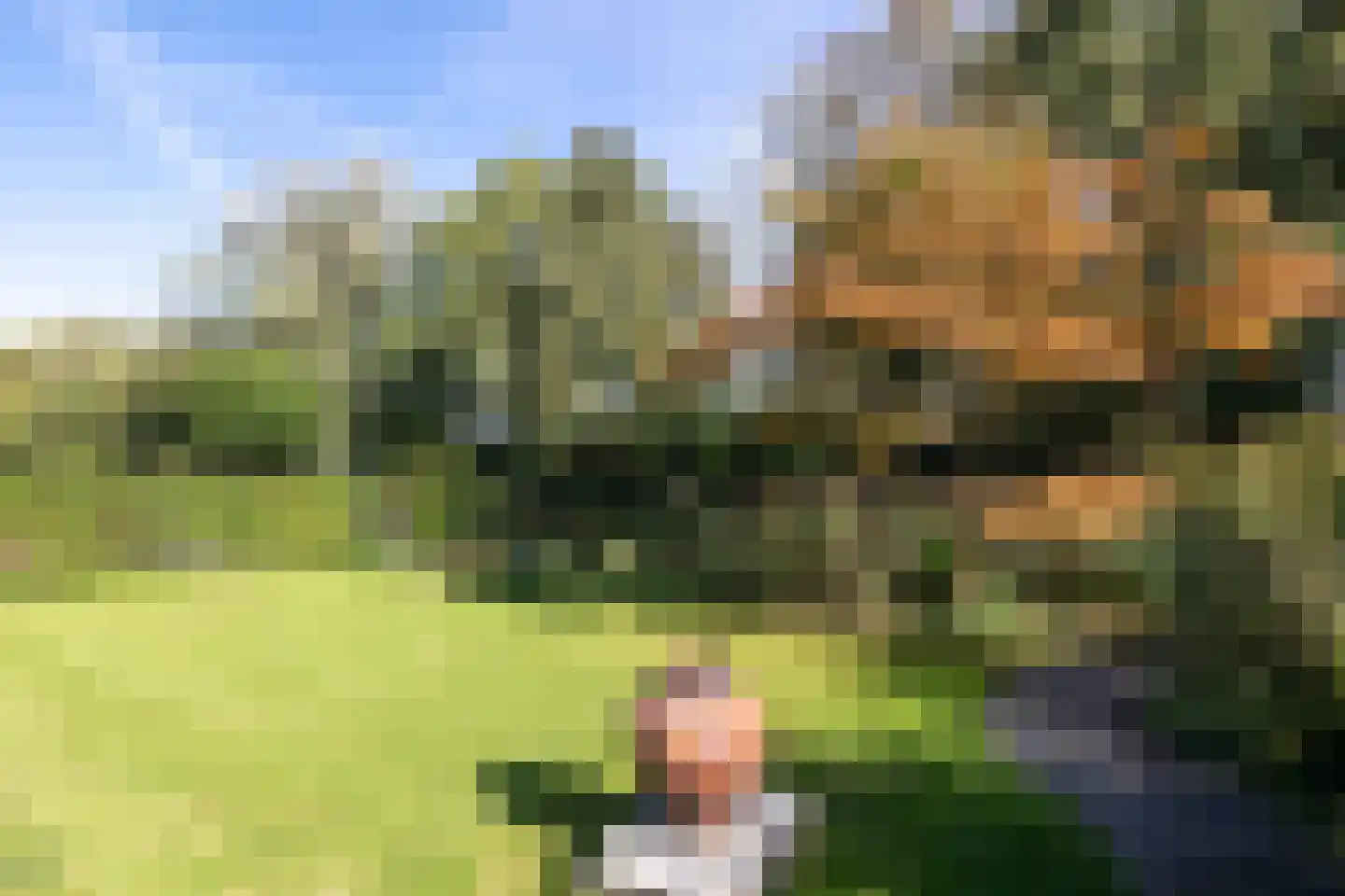 Platteweg 29 4 Reeuwijk thumbnail 42