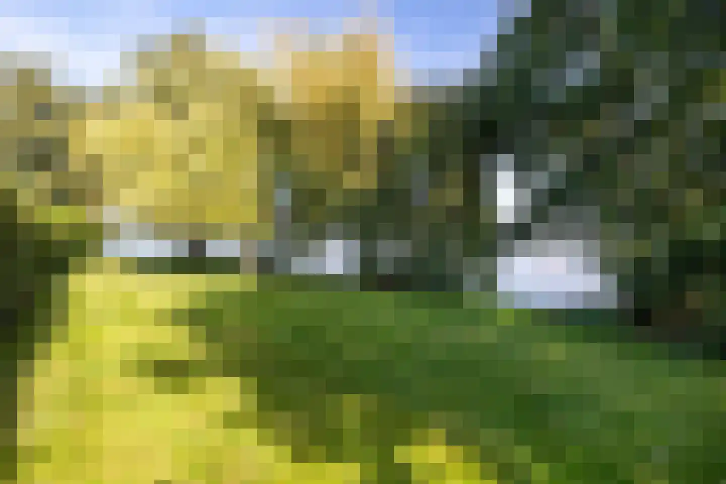 Platteweg 29 4 Reeuwijk thumbnail 45