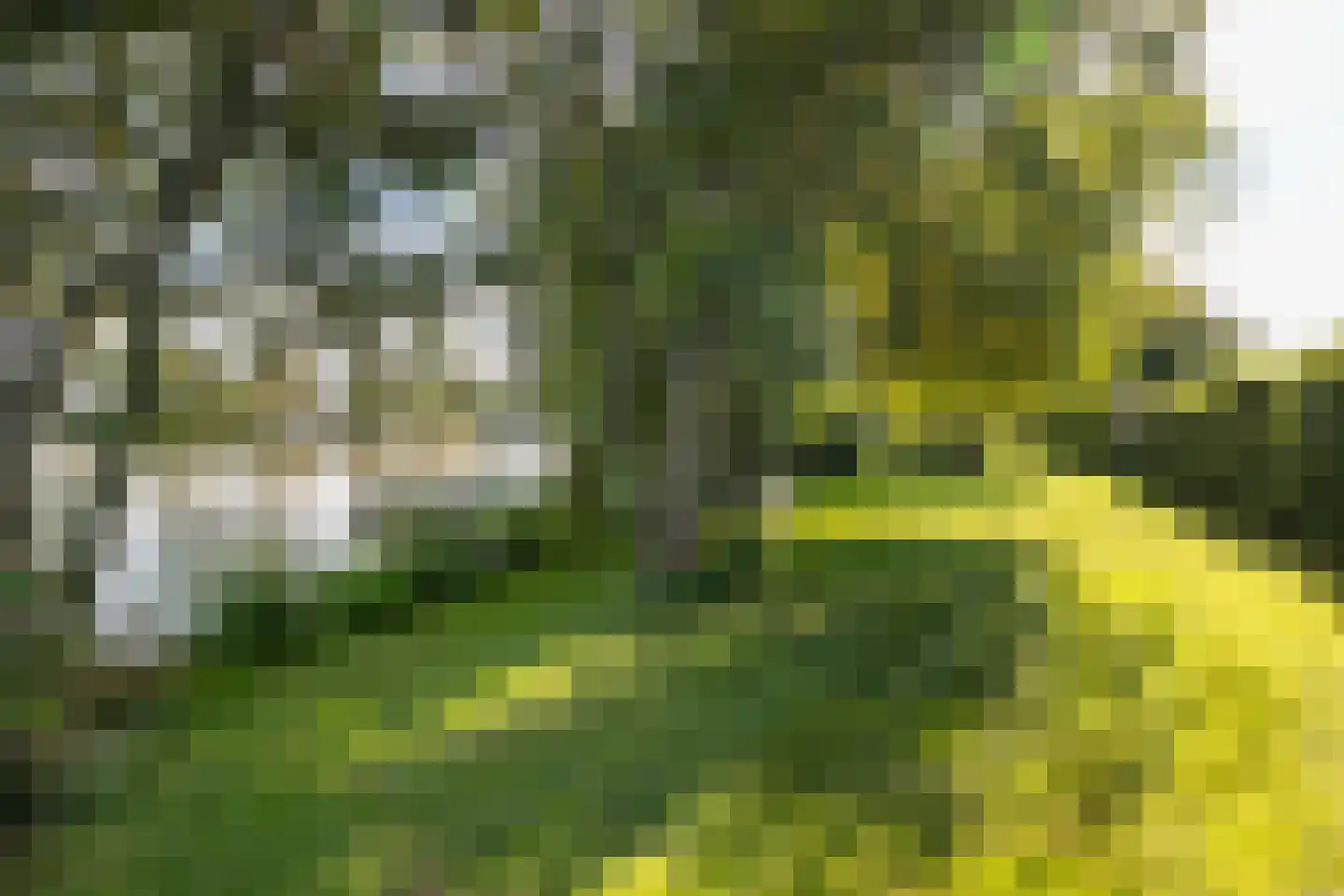 Platteweg 29 4 Reeuwijk thumbnail 46
