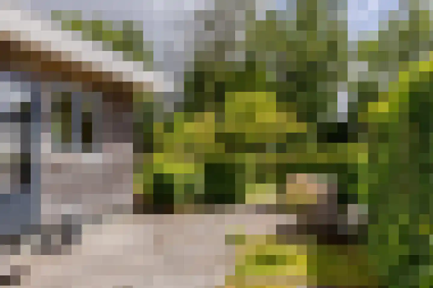 Platteweg 29 4 Reeuwijk thumbnail 5