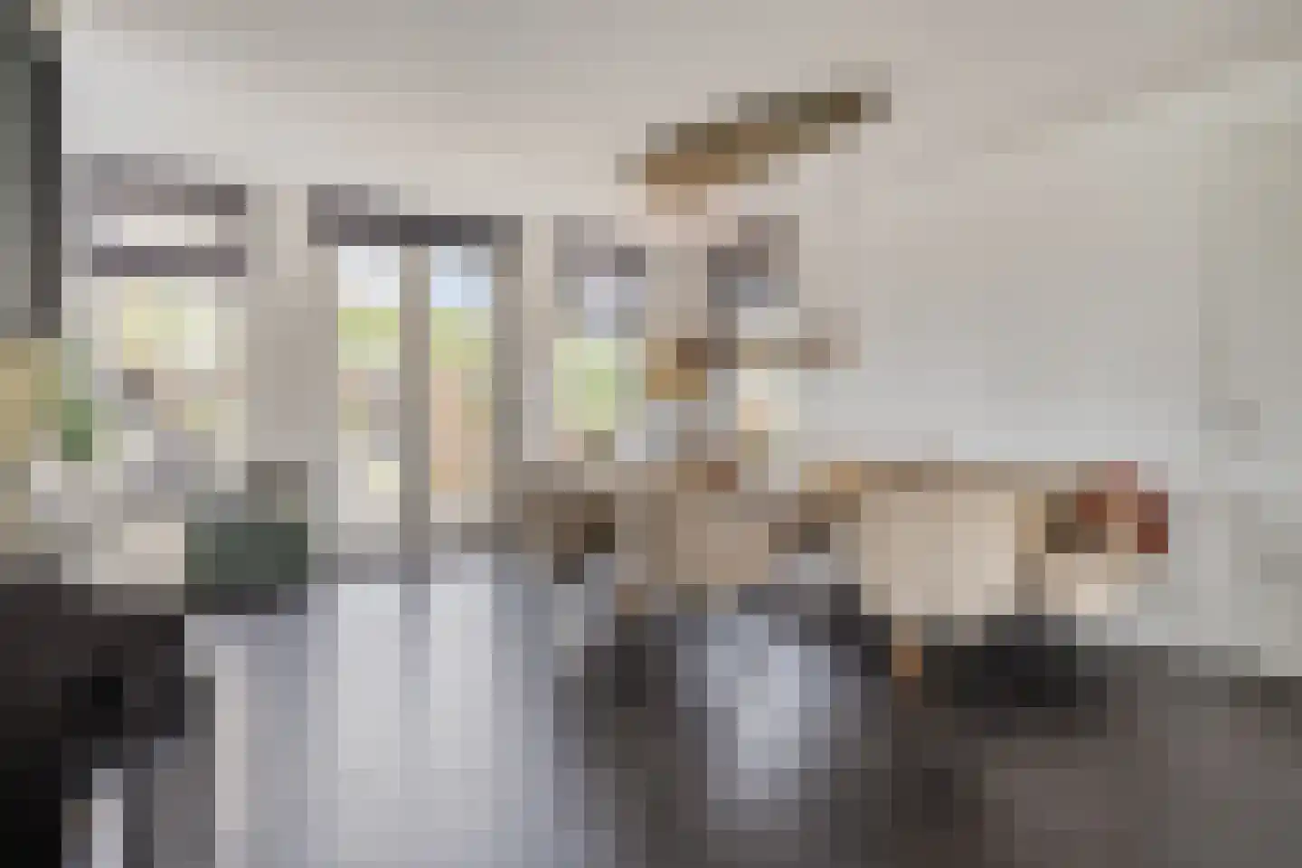 Platteweg 37 Reeuwijk thumbnail 21