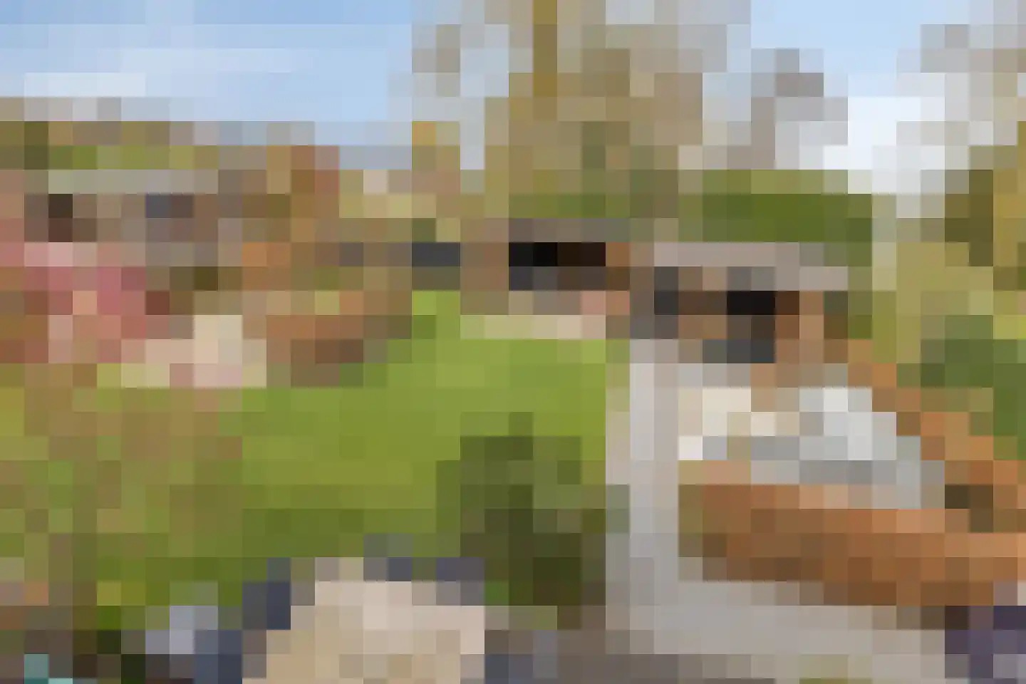 Platteweg 37 Reeuwijk thumbnail 36