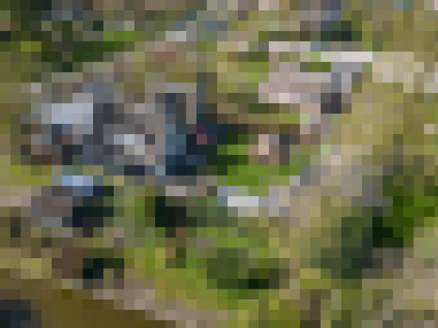 Platteweg 37 Reeuwijk thumbnail 61