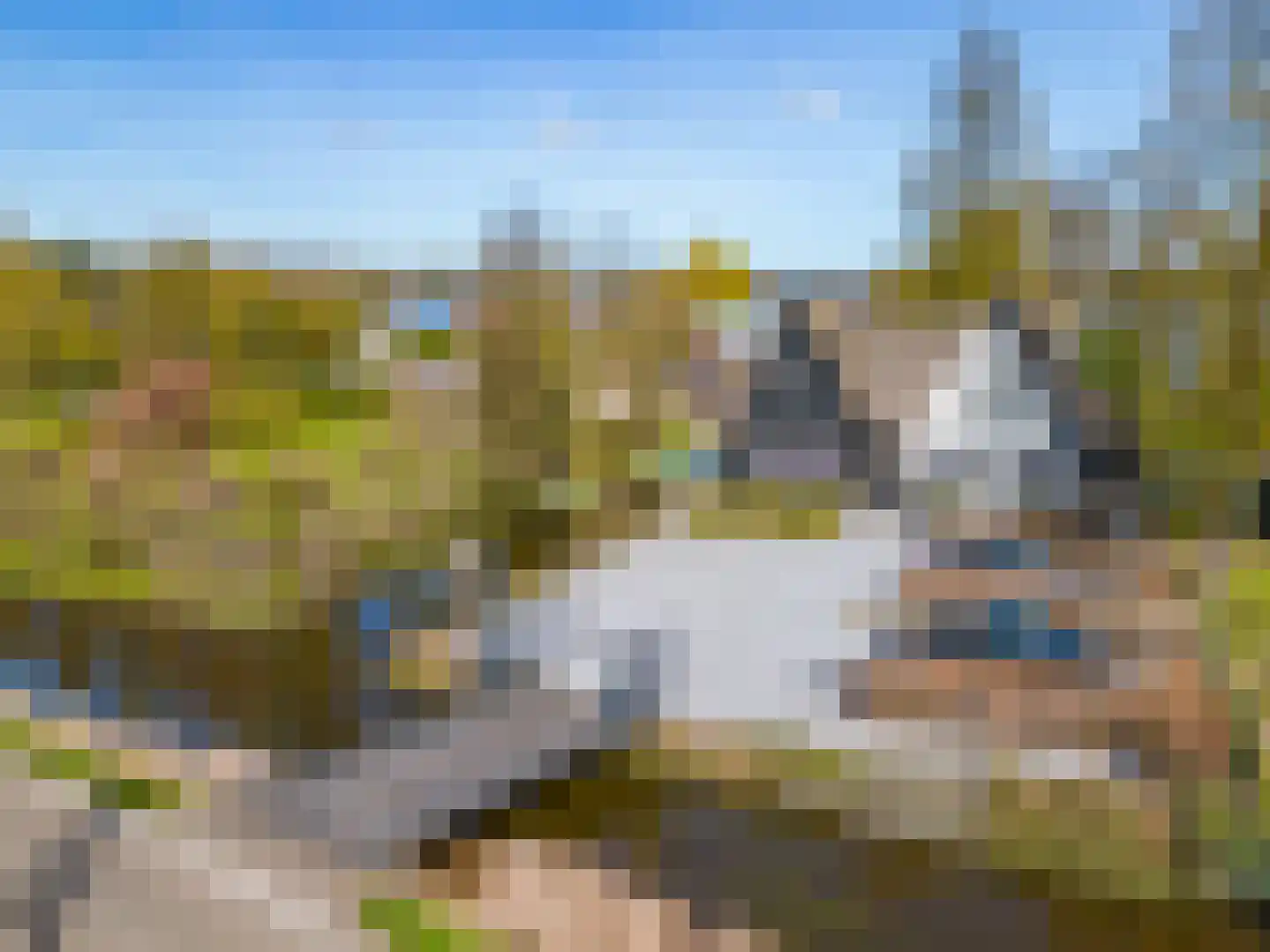 Platteweg 37 Reeuwijk thumbnail 62