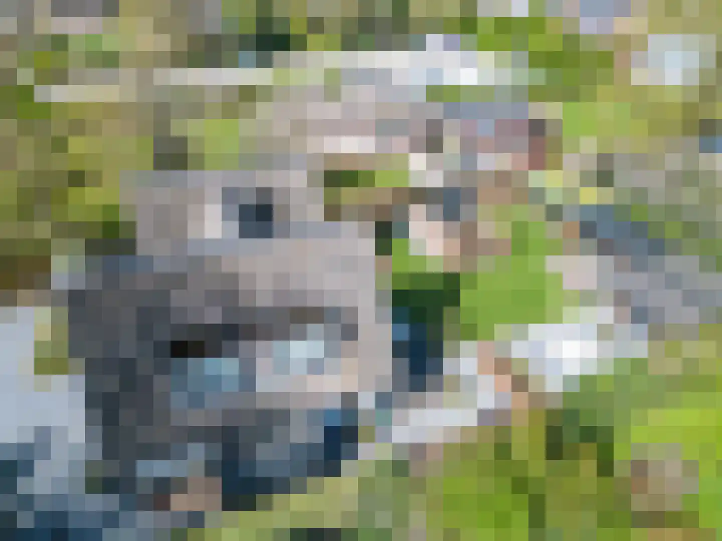 Platteweg 37 Reeuwijk thumbnail 64