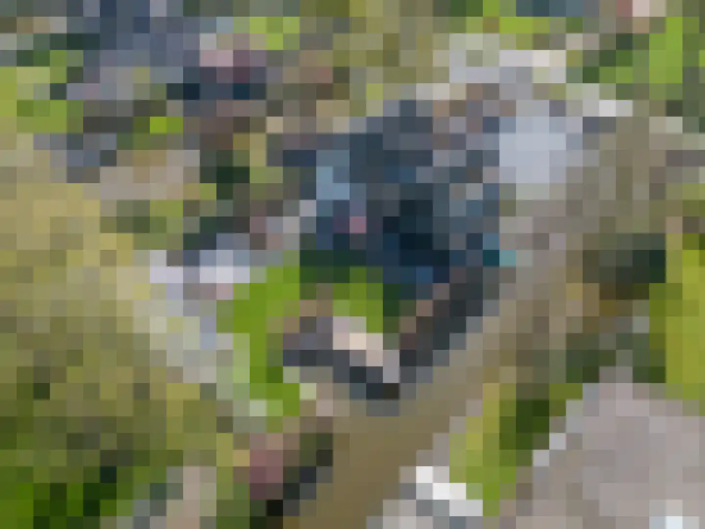 Platteweg 37 Reeuwijk thumbnail 66