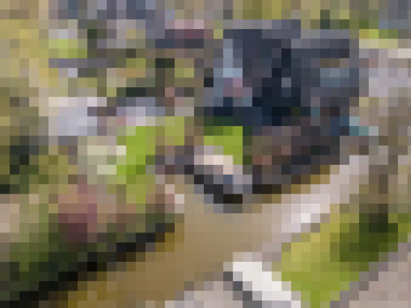 Platteweg 37 Reeuwijk thumbnail 67