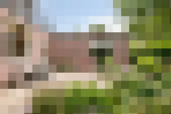 Platteweg 4 Reeuwijk thumbnail 20