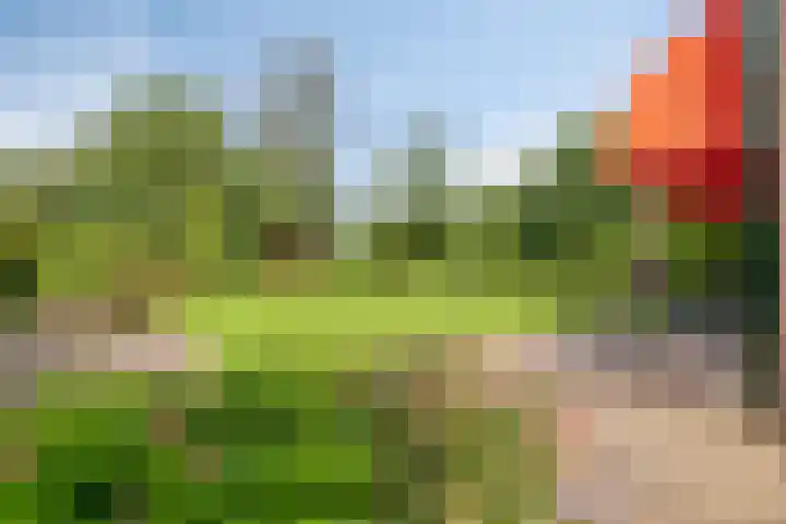 Platteweg 4 Reeuwijk thumbnail 22
