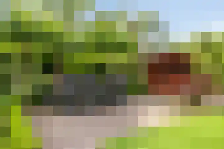 Platteweg 4 Reeuwijk thumbnail 23