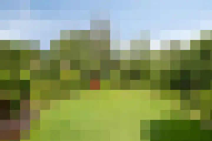 Platteweg 4 Reeuwijk thumbnail 24