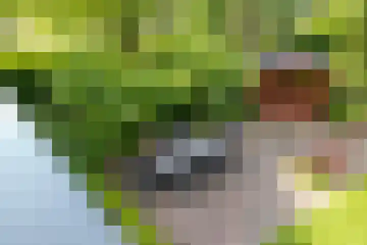 Platteweg 4 Reeuwijk thumbnail 25