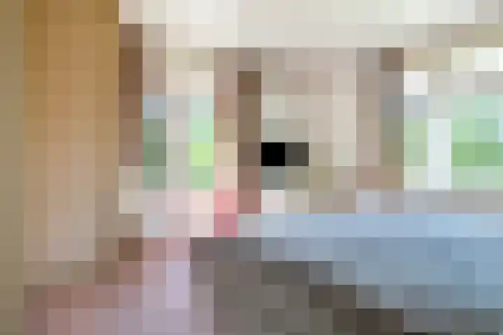 Platteweg 4 Reeuwijk thumbnail 28
